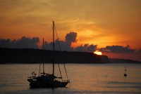 /album/galapagos/galapagosix-jpg/
