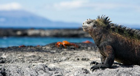 Une magnifique photo à utiliser comme carte postale